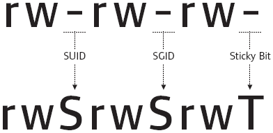 Find SUID files