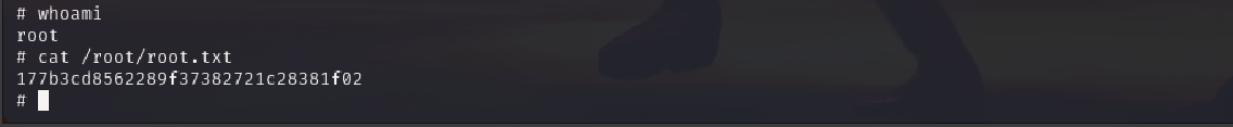 Capture the root flag